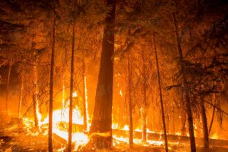 Polk County Inferno